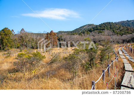 與冬天的被提出的沼澤風景 與冬天的被提出的沼澤風景 87208786