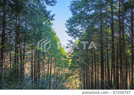 山路視圖 山路視圖 87208787
