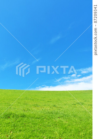 Refreshing blue sky and fresh green meadow landscape 87209341
