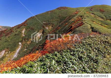 Ojika Sawanoto of autumn leaves seen from the Tanigawa mountain range vertical runway 87209463