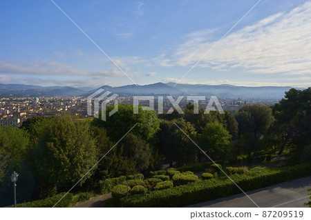 Florence cityscape 87209519