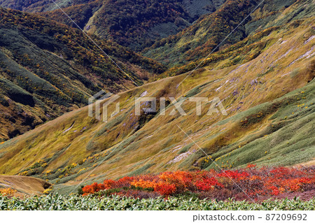 Amitabha headwaters of autumn leaves seen from the Tanigawa mountain range vertical runway 87209692