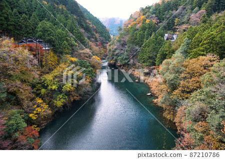 從和真京橋1看到的奧多摩的紅葉 87210786