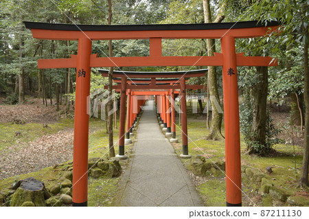 [奈良縣橿原市]橿原神宮和長山稻荷神社的鳥居門 87211130