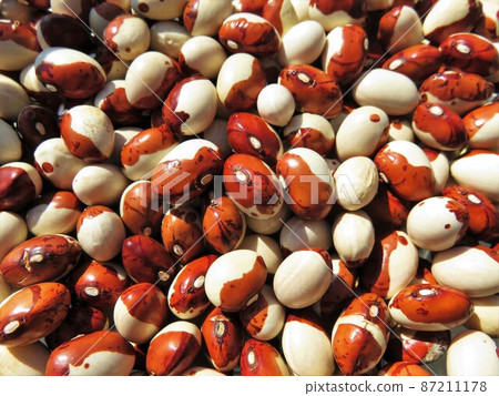 A bean A bean 87211178