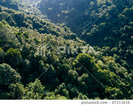 Aerial view of forest landscape of sunrise over summer mountains Aerial view of forest landscape of sunrise over summer mountains 87211616