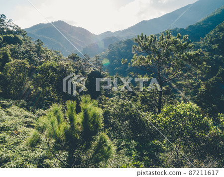 Aerial view of forest landscape of sunrise over summer mountains Aerial view of forest landscape of sunrise over summer mountains 87211617