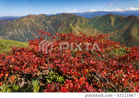 Autumn leaves of Mt. Mantaro and mountain range of Tanigawa mountain range 87211667