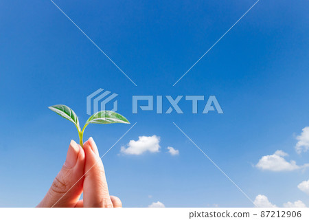 Ecosystem and environment tree sapling in hand concept 87212906
