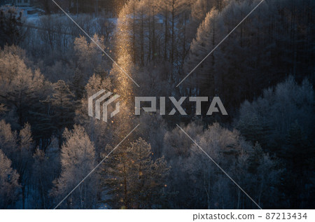 鑽石粉塵 87213434