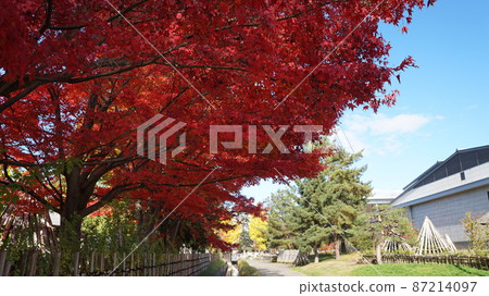 秋葉和水路 87214097