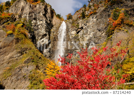 福部大瀧（紅葉）[石川縣白山市] 87214240