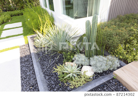 Small gardens with beautiful different green flower and plant in home backyard garden. 87214302