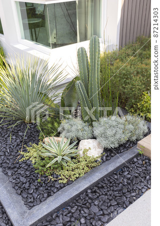 Small gardens with beautiful different green flower and plant in home backyard garden. Small gardens with beautiful different green flower and plant in home backyard garden. 87214303