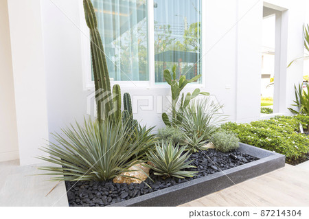 Small gardens with beautiful different green flower and plant in home backyard garden. 87214304