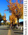 在晴朗的天空下，在銀杏樹和摩托車的背景下俯瞰姬路城 87214711