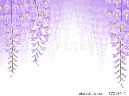 Wisteria flower background material 87215041