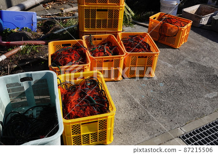 Shrimp net in a container Shrimp net in a container 87215506