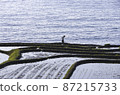Sunset over rice terraces in the Sea of Japan 87215733