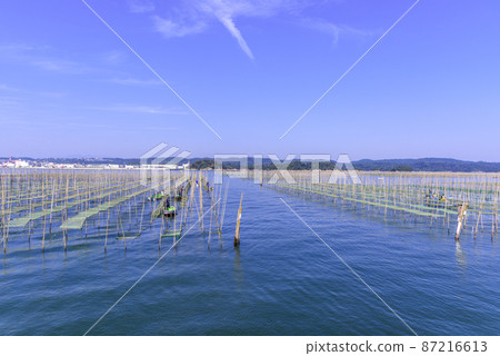 Nori culture in Matsushima Bay Nori culture in Matsushima Bay 87216613