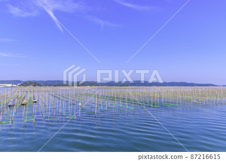 Nori culture in Matsushima Bay 87216615