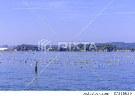 Nori culture in Matsushima Bay Nori culture in Matsushima Bay 87216629