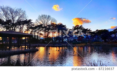 這是公園黃昏時的風景，有池塘。 87216637