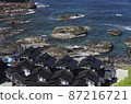 Mitsukejima found by Kobo Daishi when he came to Noto 87216721