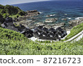 View of Cape Suzu 87216723
