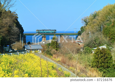 [Ehime Prefecture] Rape field and Motomura River Bridge under clear skies (Iyo-nada Sea in the Seto Inland Sea) 87216876