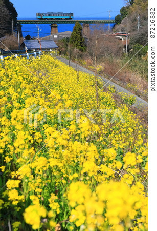 [愛媛縣]晴空下的油菜田和元村川大橋（瀨戶內海的伊予灘） 87216882
