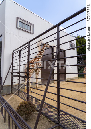 姬路動物園 87217788