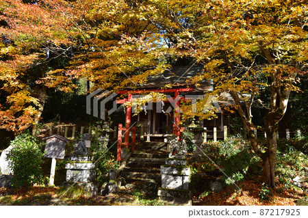 The hall of worship and autumn leaves at Shisho Shrine in Sagashikimigahara, Kyoto The hall of worship and autumn leaves at Shisho Shrine in Sagashikimigahara, Kyoto 87217925