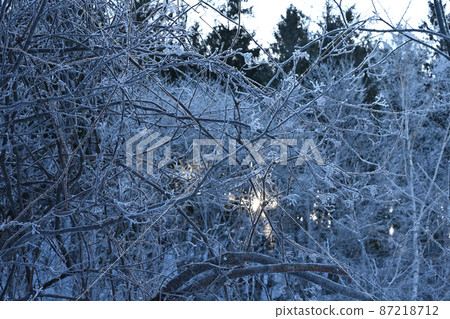 一棵樹 一棵樹 87218712