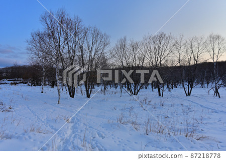 冬天的北海道荒野 87218778