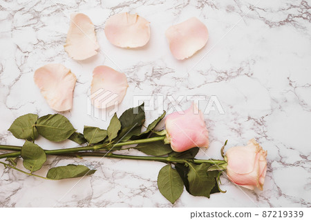 rose flower with petals white marble textured background 87219339