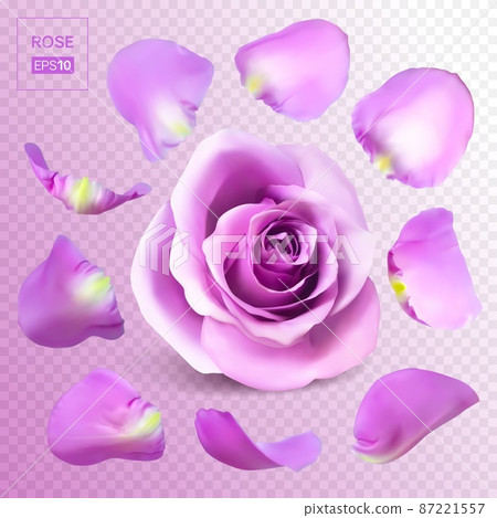 Realistic rose petals. Vector illustration with mesh gradients. Realistic rose petals. Vector illustration with mesh gradients. 87221557