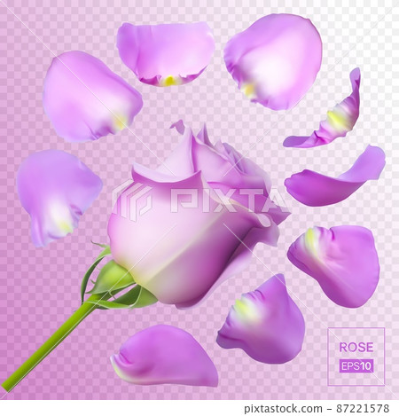 Realistic rose petals. Vector illustration with mesh gradients. 87221578