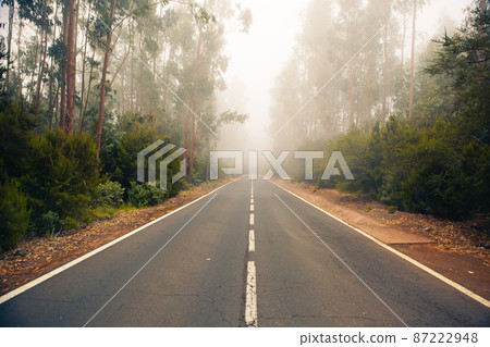 road in the forest La Esperanza 87222948