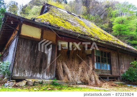 [滋賀縣]大織村 87223924