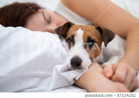 Caucasian woman is napping in bed hugging her beloved dog. 87224282