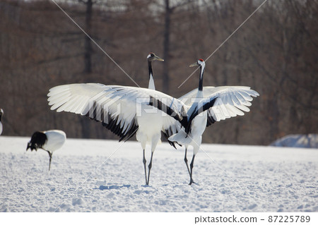 Flying crane Flying crane 87225789