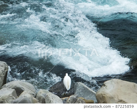 新竹縣內灣尖石五峰清泉 87225859