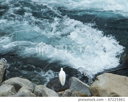 新竹縣內灣尖石五峰清泉 87225861