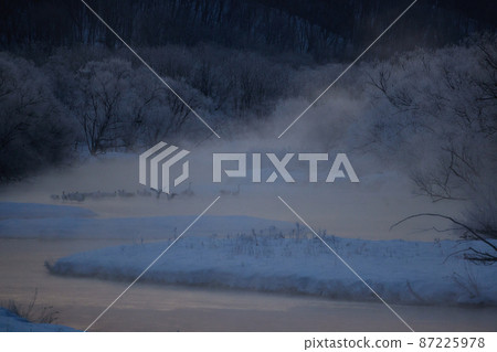 Caterpillar roost surrounded by tree ice Caterpillar roost surrounded by tree ice 87225978