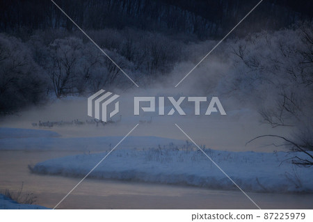 Caterpillar roost surrounded by tree ice Caterpillar roost surrounded by tree ice 87225979
