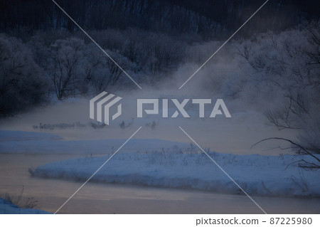 Caterpillar roost surrounded by tree ice Caterpillar roost surrounded by tree ice 87225980