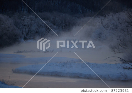 Caterpillar roost surrounded by tree ice Caterpillar roost surrounded by tree ice 87225981