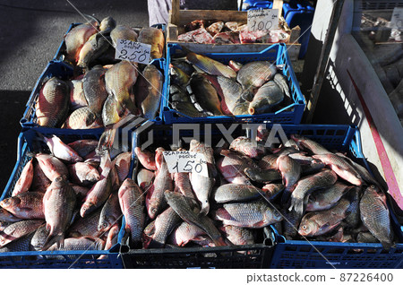 showcase of a fish stall on the market in Bronnitsy showcase of a fish stall on the market in Bronnitsy 87226400