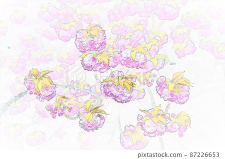 牡丹櫻花圖 4 87226653